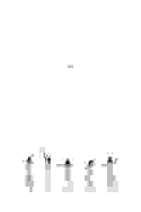  Девушка по фамилии Старлинг 