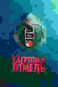 Смотреть  Багровая отмель  онлайн в HD качестве 1080p